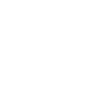 ips icon